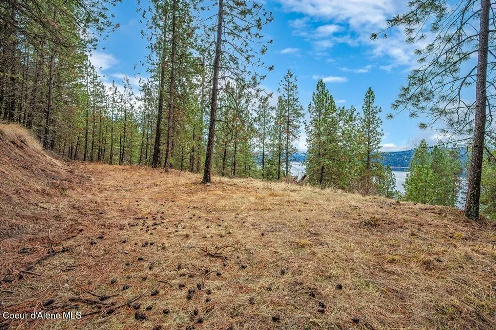 NNA E Crows Nest Road Harrison, ID 83833