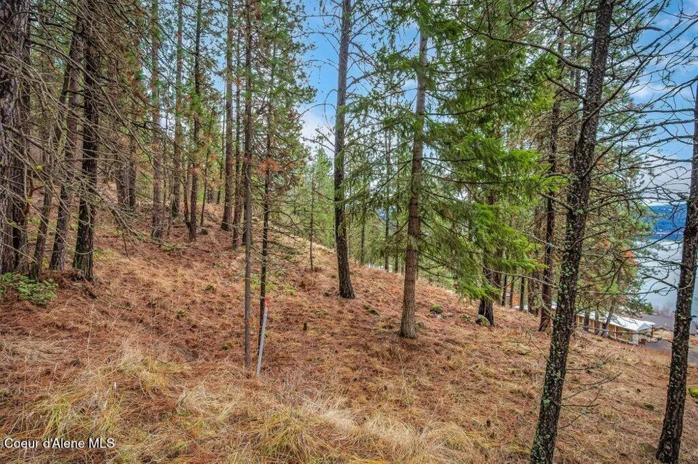 NNA E Crows Nest Road Harrison, ID 83833