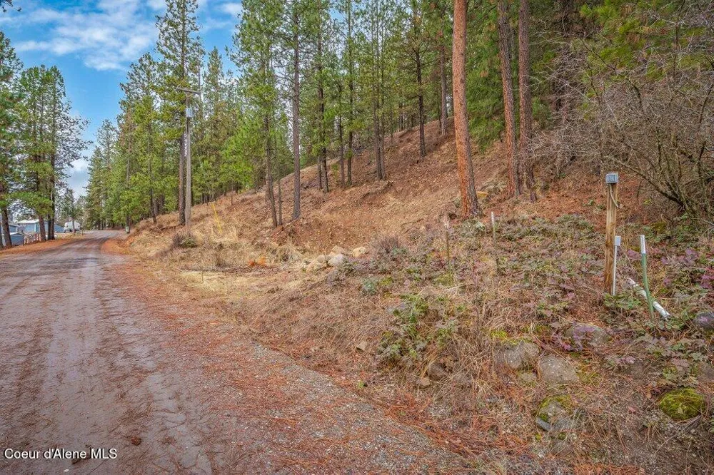 NNA E Crows Nest Road Harrison, ID 83833