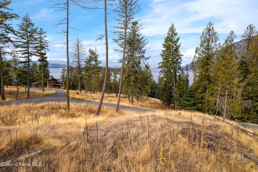 NKA Deerhaven Hope, ID 83836