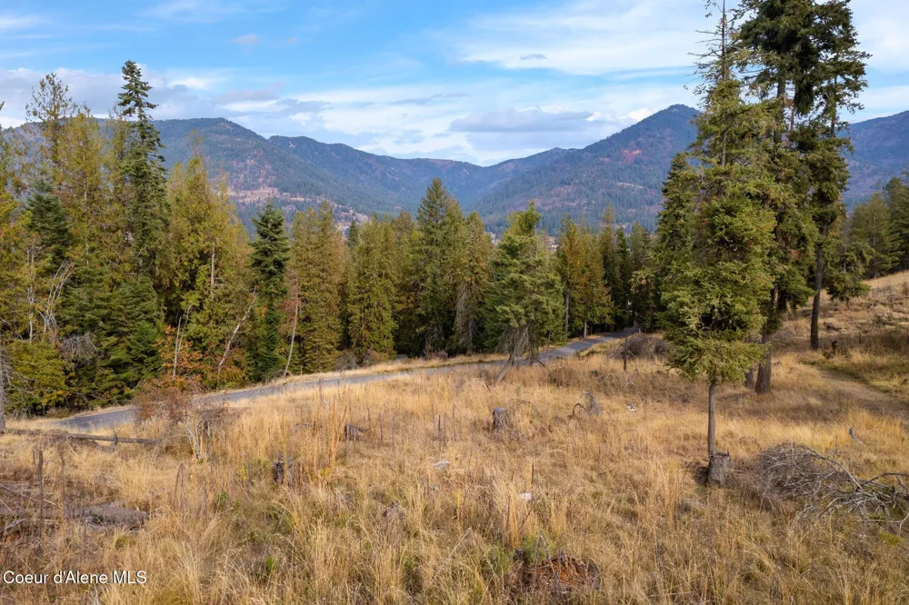 NKA Deerhaven Hope, ID 83836
