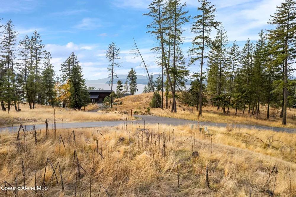 NKA Deerhaven Hope, ID 83836