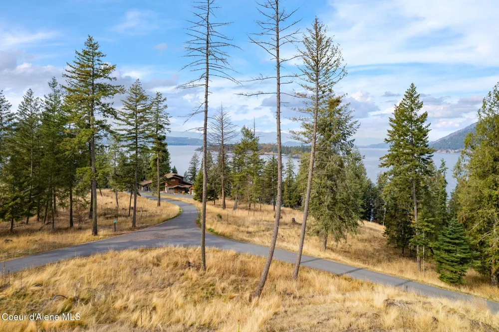 NKA Deerhaven Hope, ID 83836