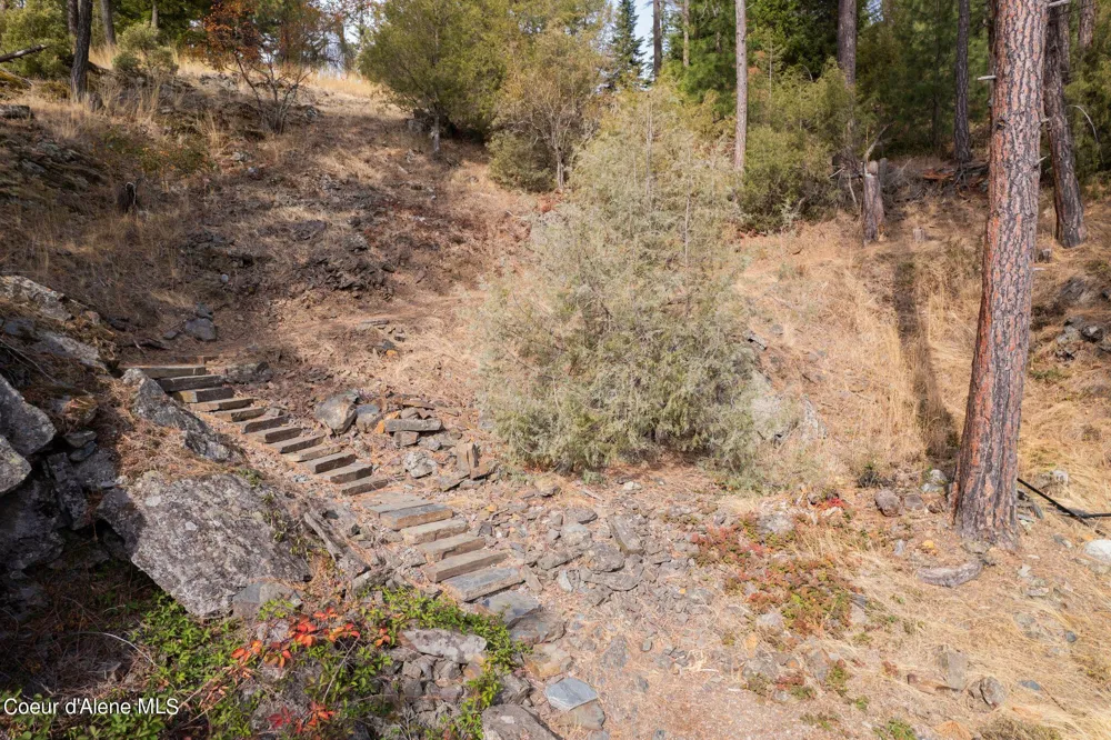 NKA Deerhaven Hope, ID 83836
