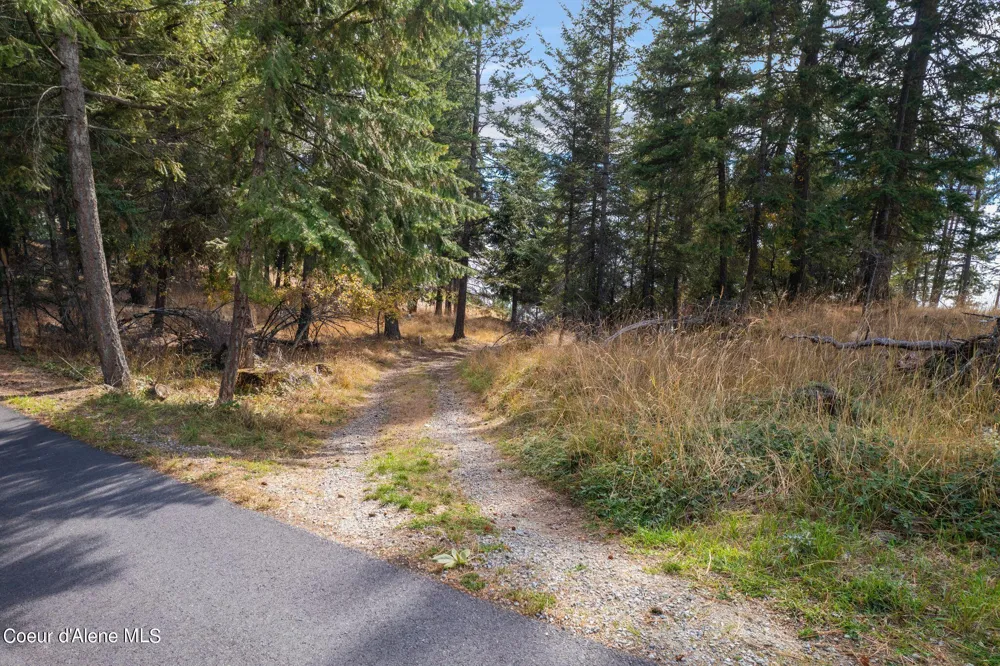 NKA Deerhaven Hope, ID 83836