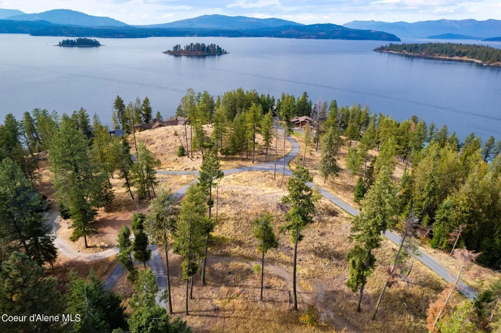 NKA Deerhaven Hope, ID 83836