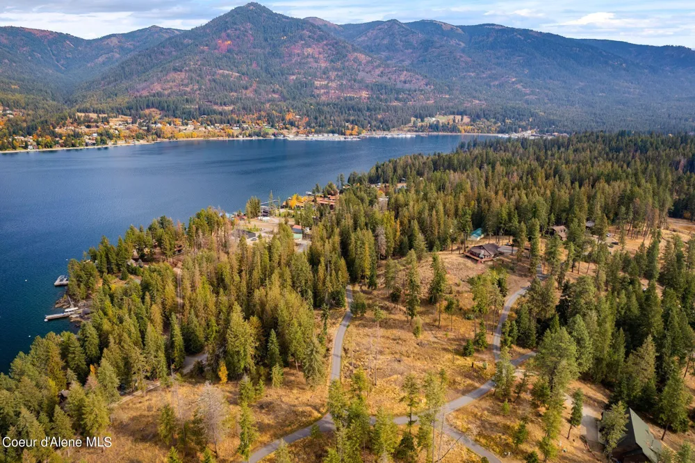 NKA Deerhaven Hope, ID 83836