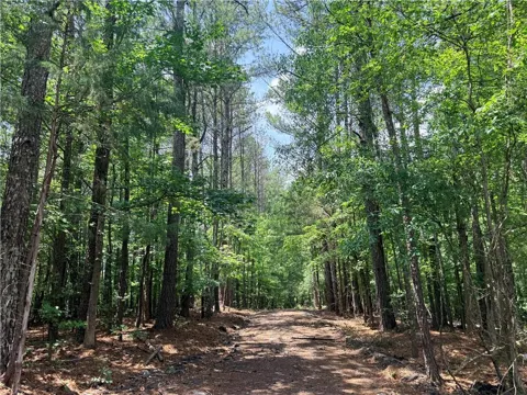 1573 Norris Lake Way