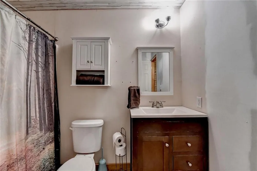 156 Bel Air Drive Maysville, GA 30558