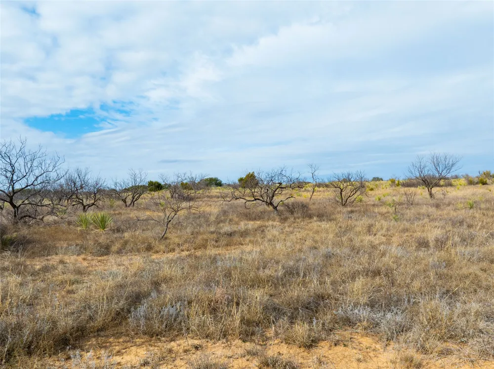 100 FM 503 Coleman, TX 76834