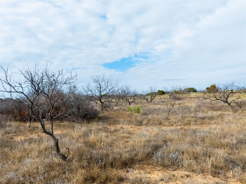 100 FM 503 Coleman, TX 76834