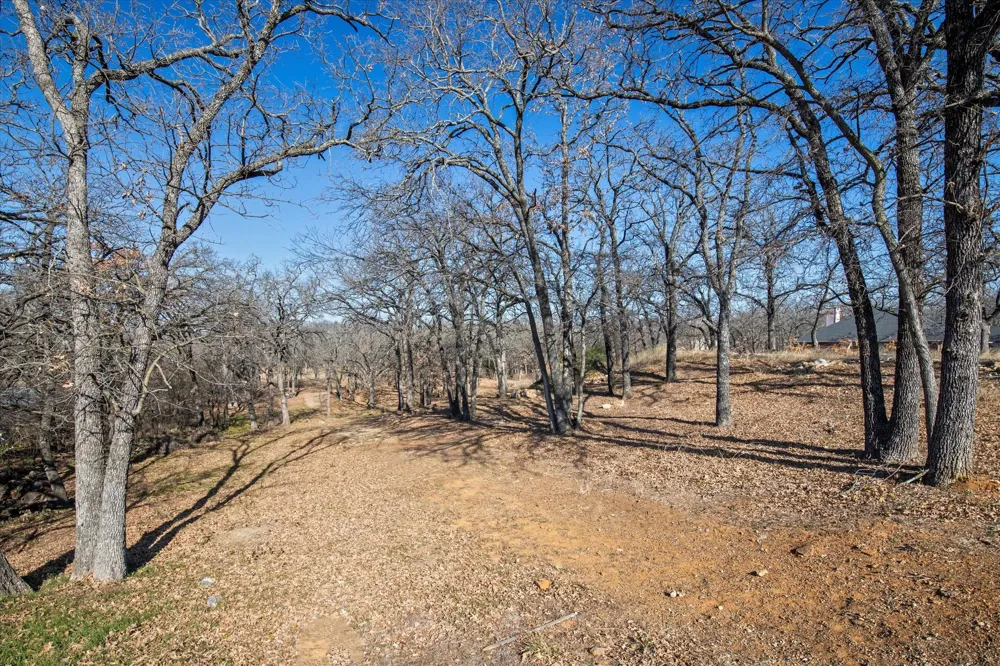 18 Royal Oaks Boulevard Hickory Creek, TX 75065