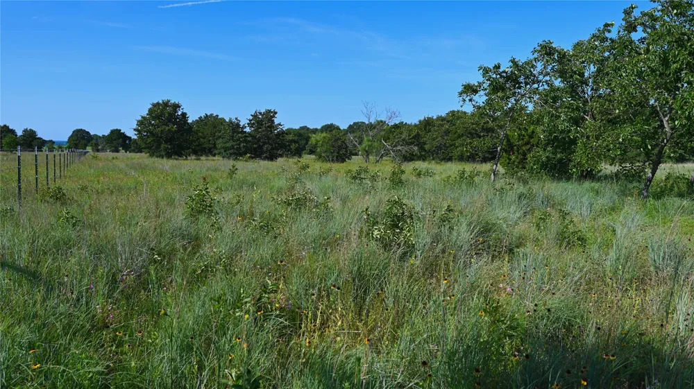 Ten Point Road Nocona, TX 76255
