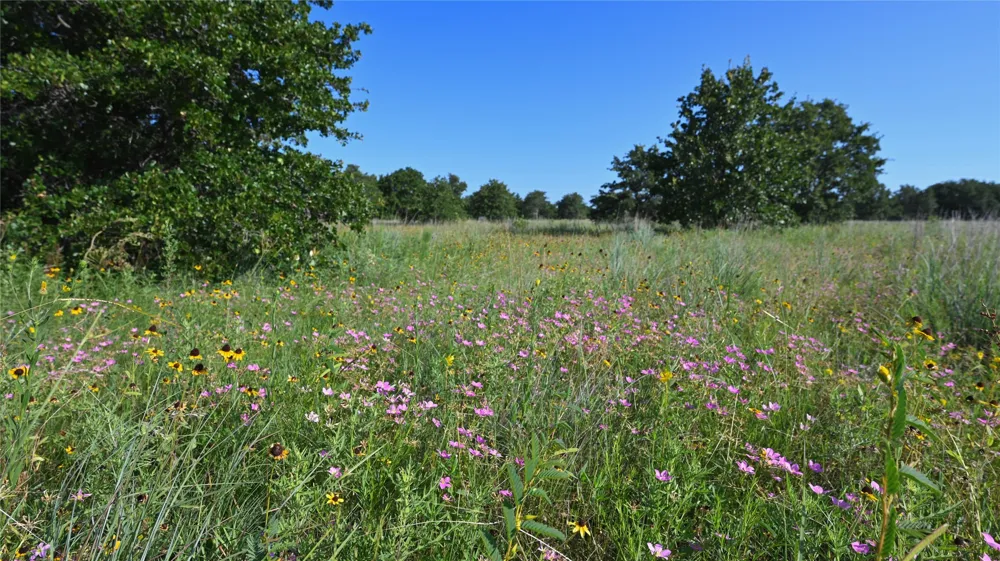 Ten Point Road Nocona, TX 76255