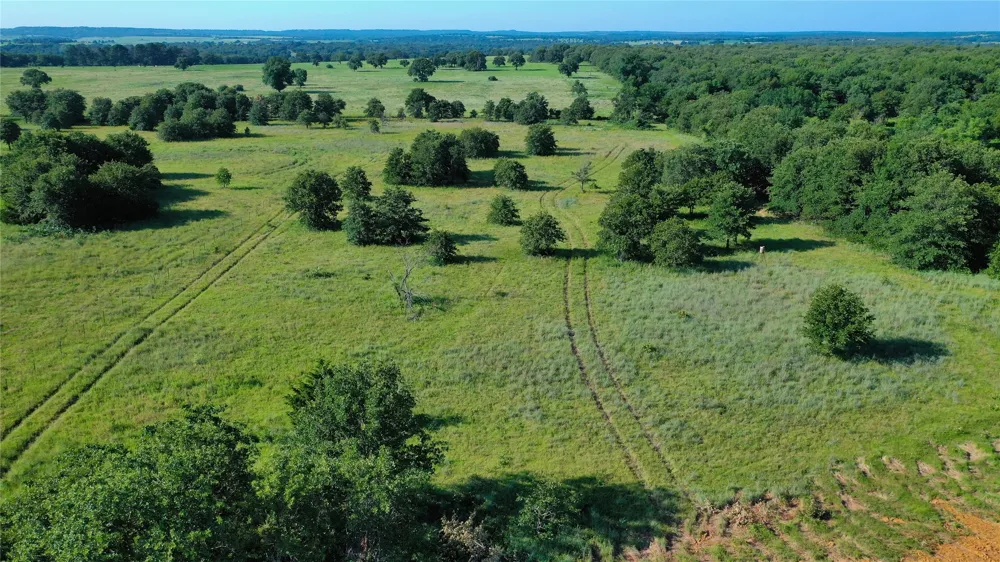 Ten Point Road Nocona, TX 76255