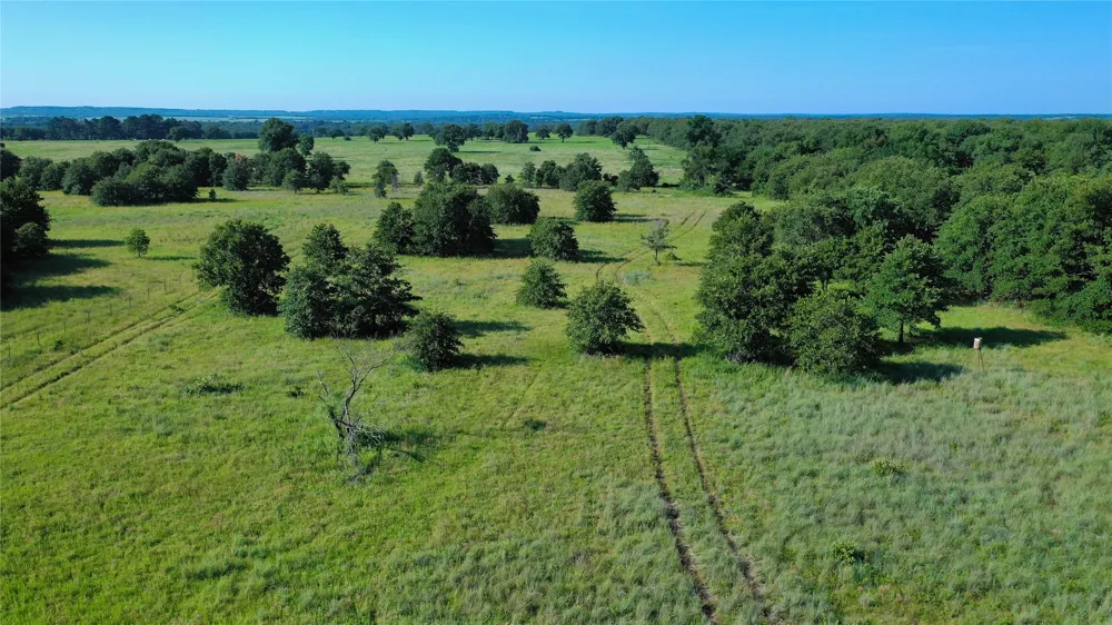 Ten Point Road Nocona, TX 76255