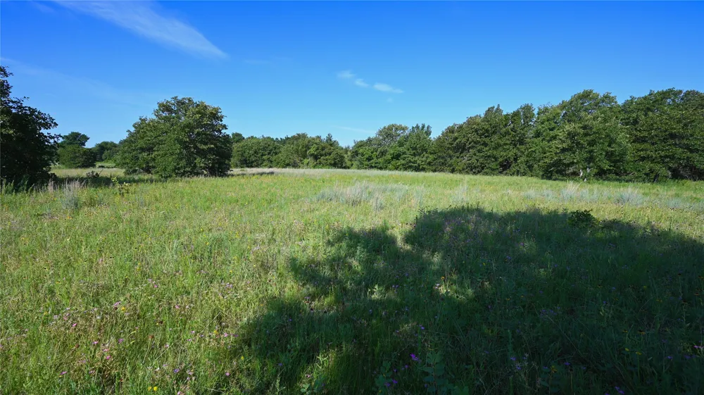 Ten Point Road Nocona, TX 76255