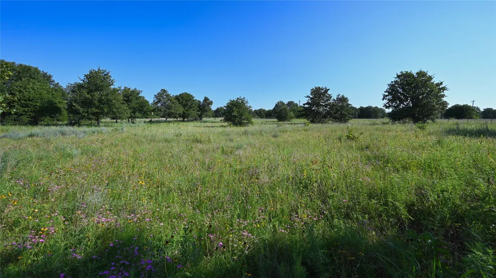 Ten Point Road Nocona, TX 76255