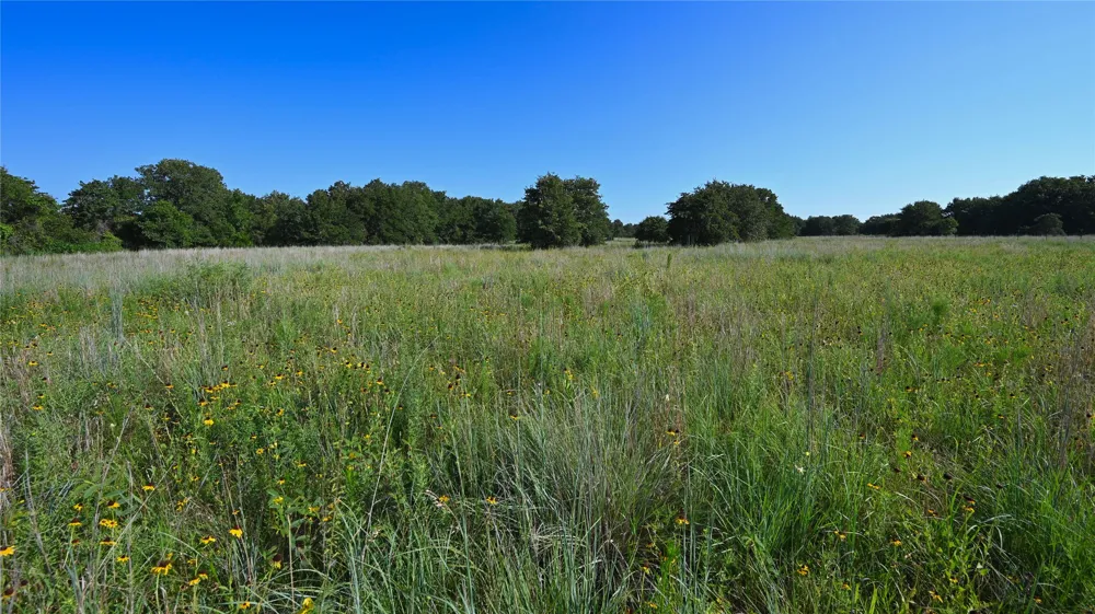 Ten Point Road Nocona, TX 76255