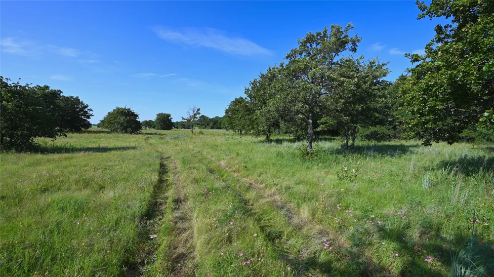 Ten Point Road Nocona, TX 76255