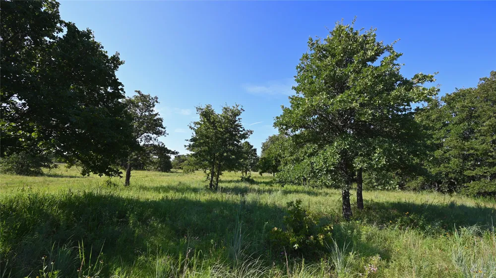 Ten Point Road Nocona, TX 76255