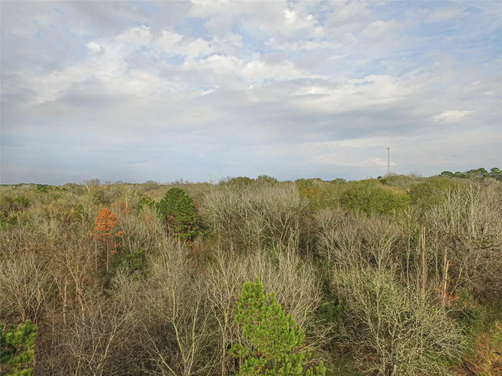 W 2nd Street Corrigan, TX 75939
