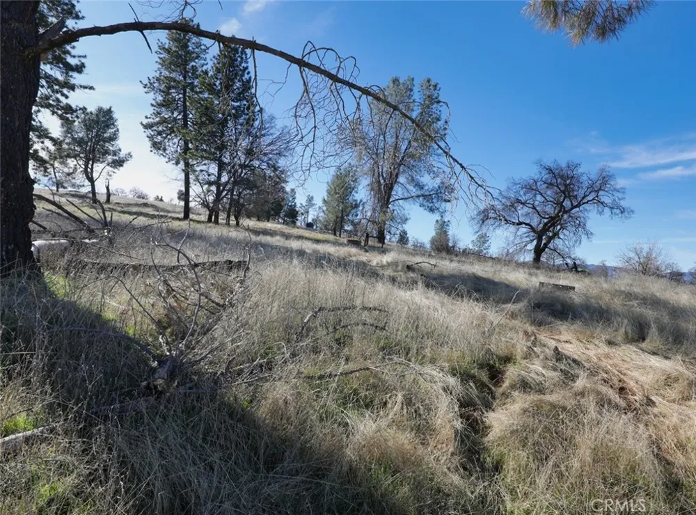 19755 Grange Middletown, CA 95461