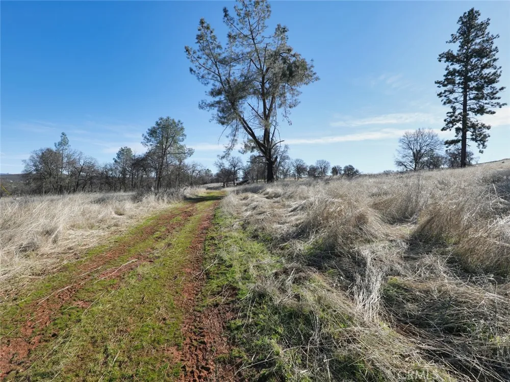19755 Grange Middletown, CA 95461