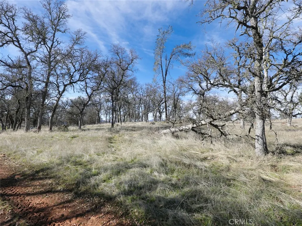 19755 Grange Middletown, CA 95461