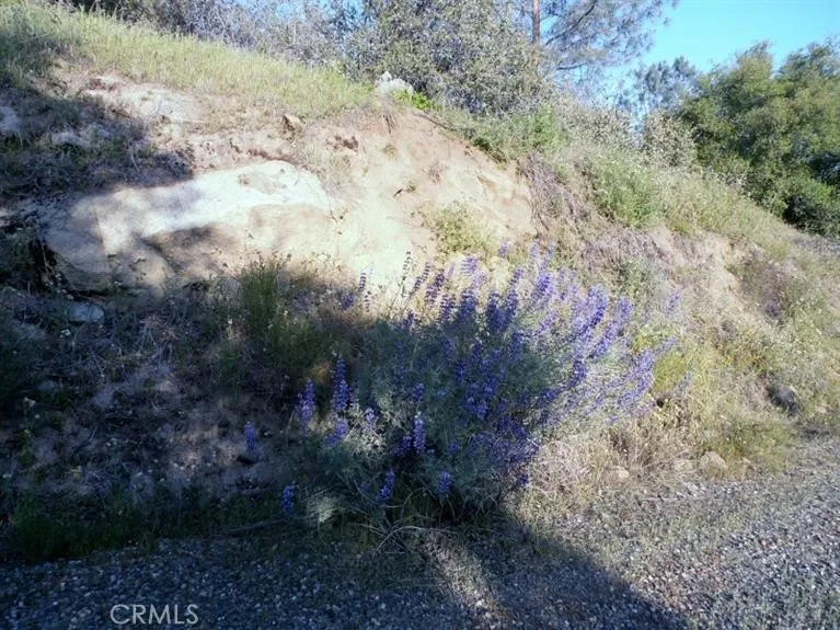 37 Lynx Lane Prather, CA 93651