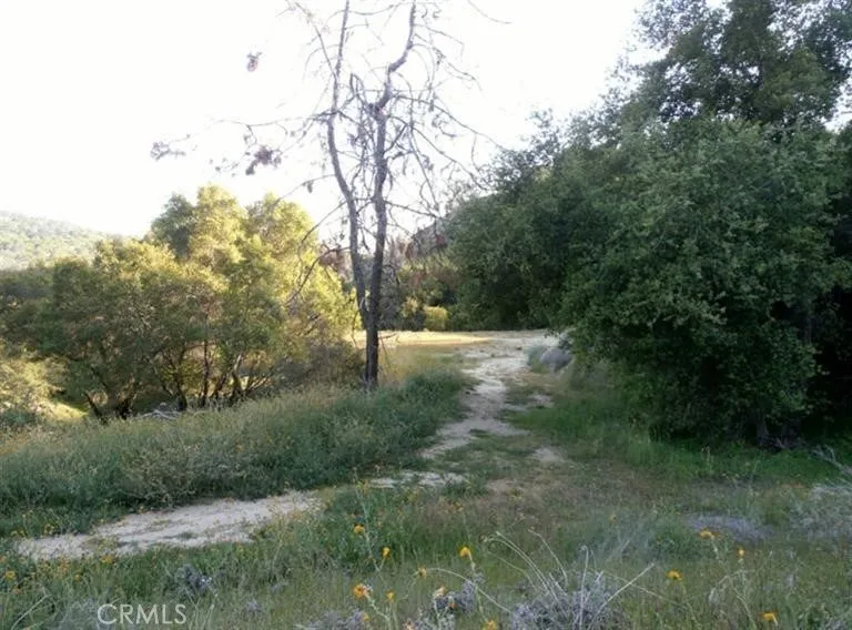 37 Lynx Lane Prather, CA 93651