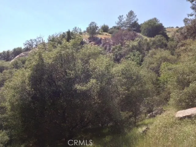 37 Lynx Lane Prather, CA 93651