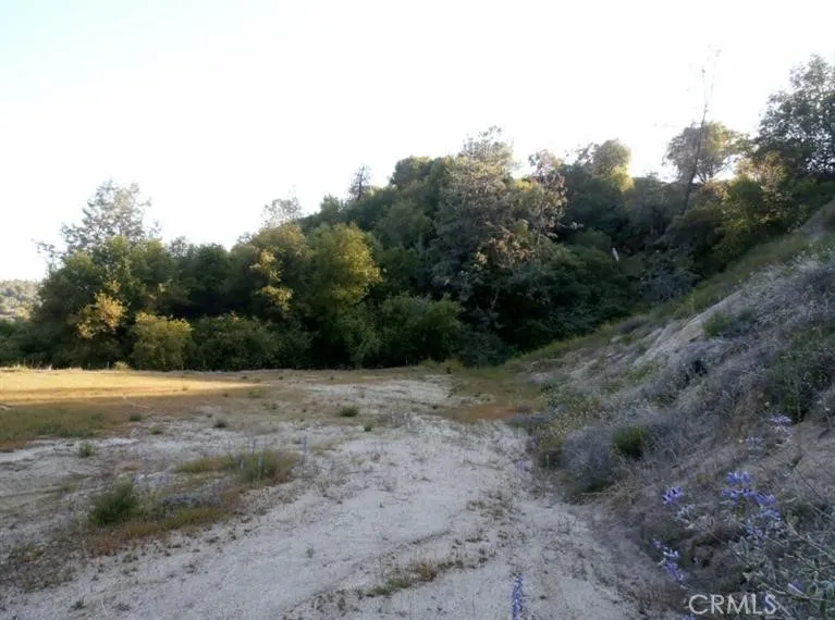 37 Lynx Lane Prather, CA 93651