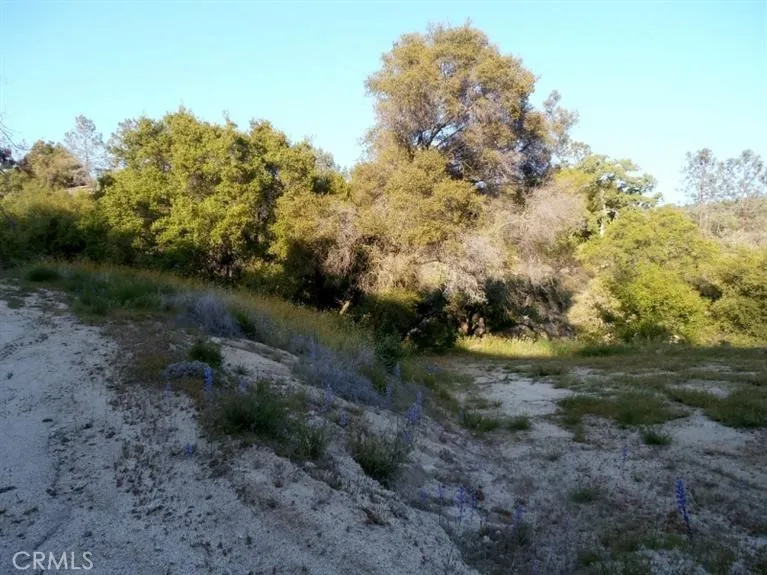 37 Lynx Lane Prather, CA 93651