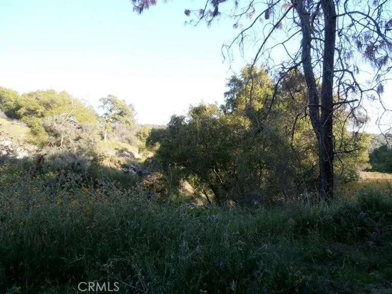 37 Lynx Lane Prather, CA 93651