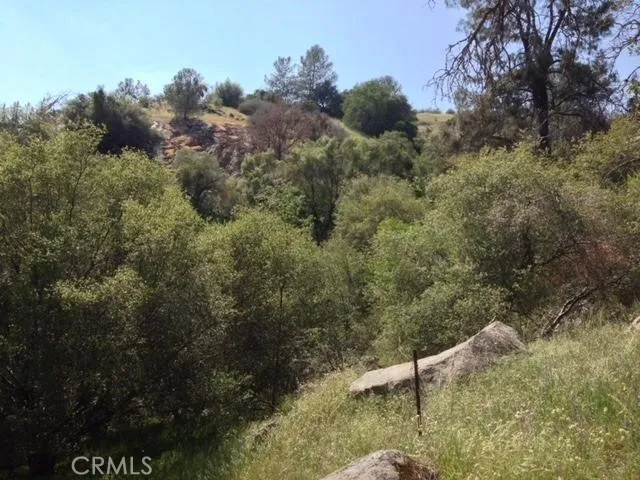 37 Lynx Lane Prather, CA 93651