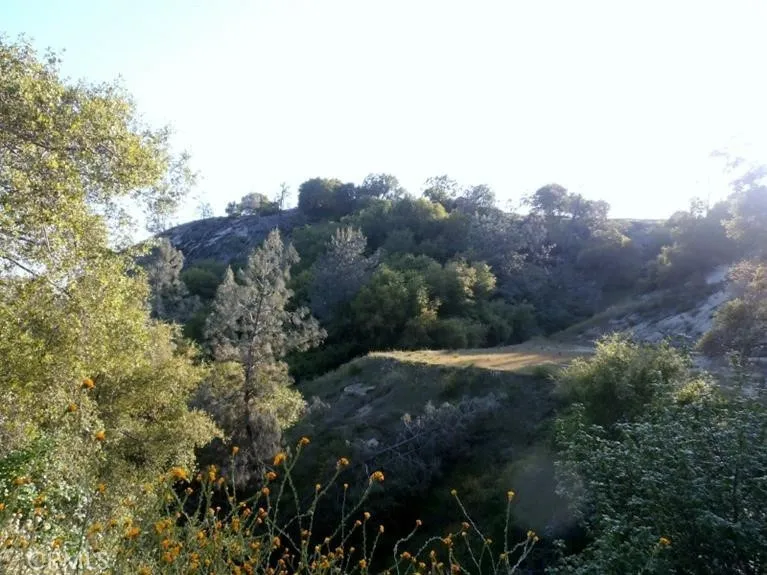 37 Lynx Lane Prather, CA 93651