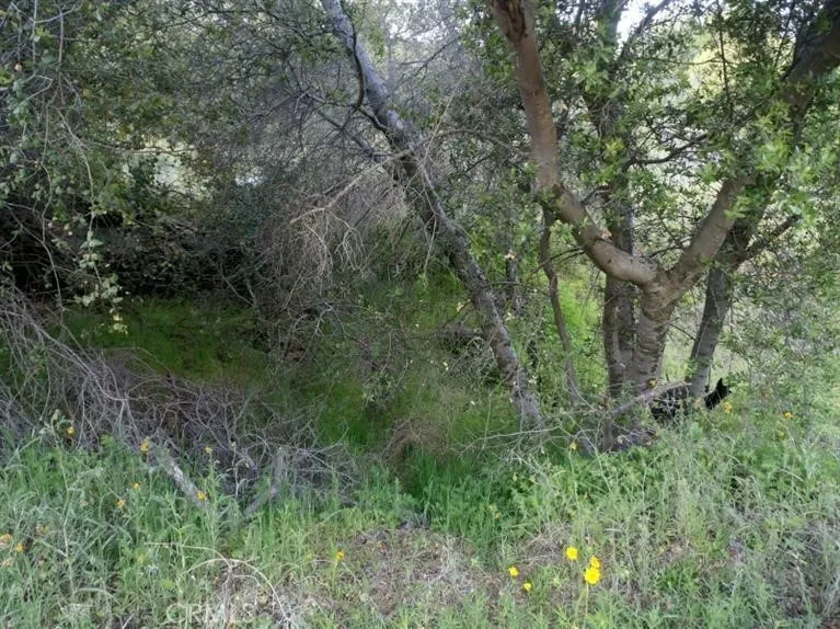 37 Lynx Lane Prather, CA 93651