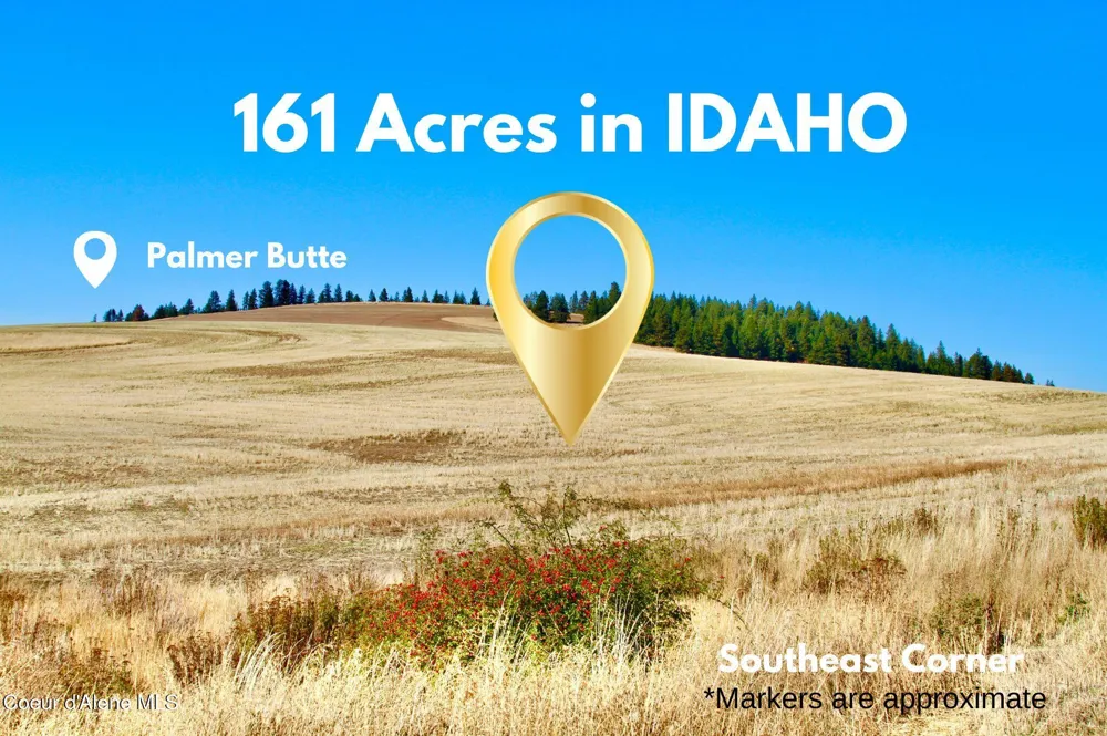 1165 Evergreen (Farmington IDAHO) Road Potlatch, ID 83855