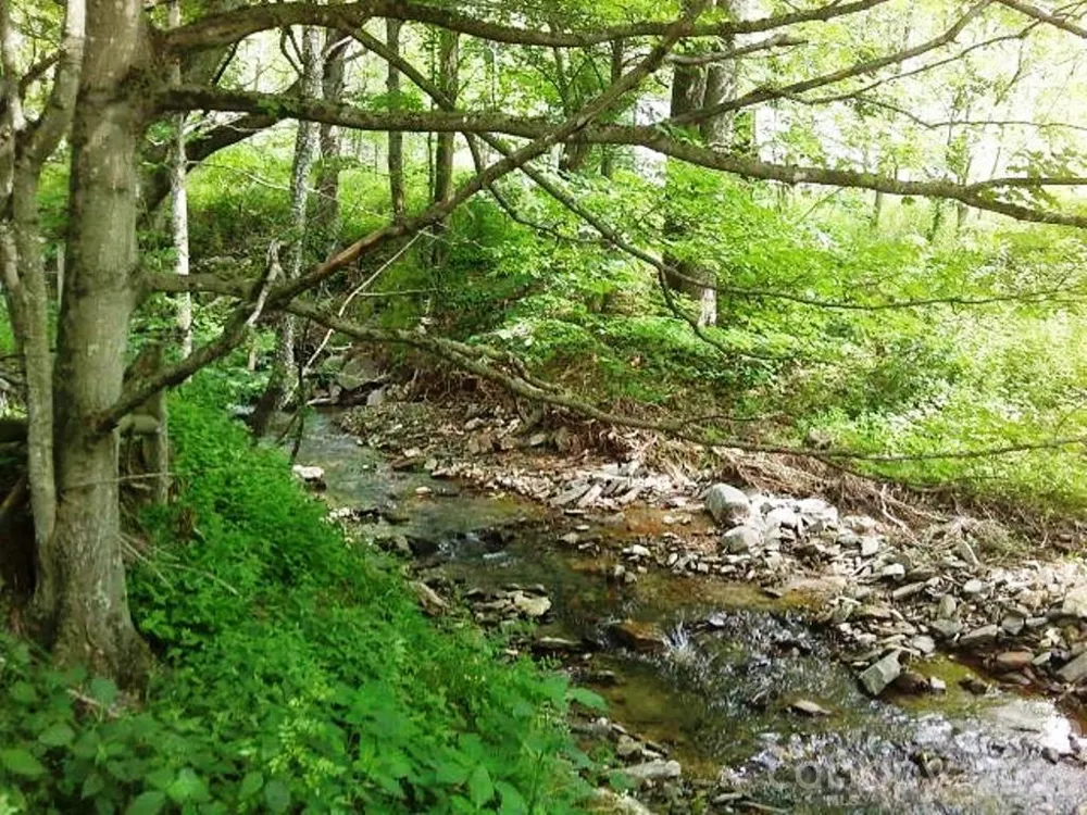 3771 US Highway 421 Highway Vilas, NC 28692