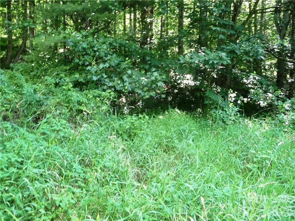 3771 US Highway 421 Highway Vilas, NC 28692