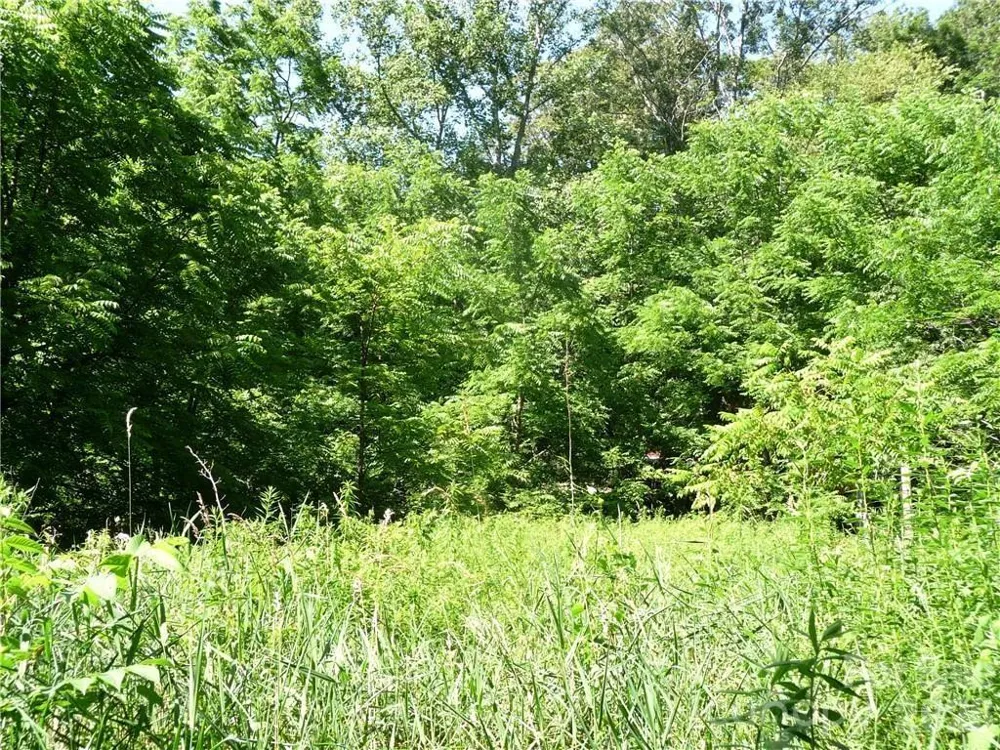 3771 US Highway 421 Highway Vilas, NC 28692