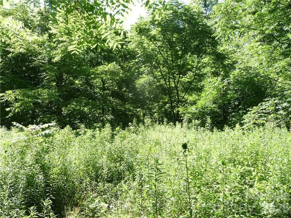 3771 US Highway 421 Highway Vilas, NC 28692