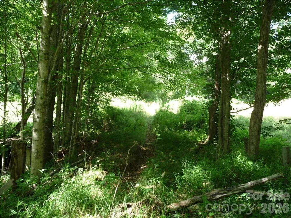 3771 US Highway 421 Highway Vilas, NC 28692