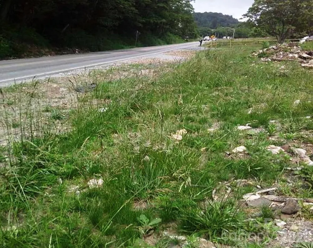 3771 US Highway 421 Highway Vilas, NC 28692