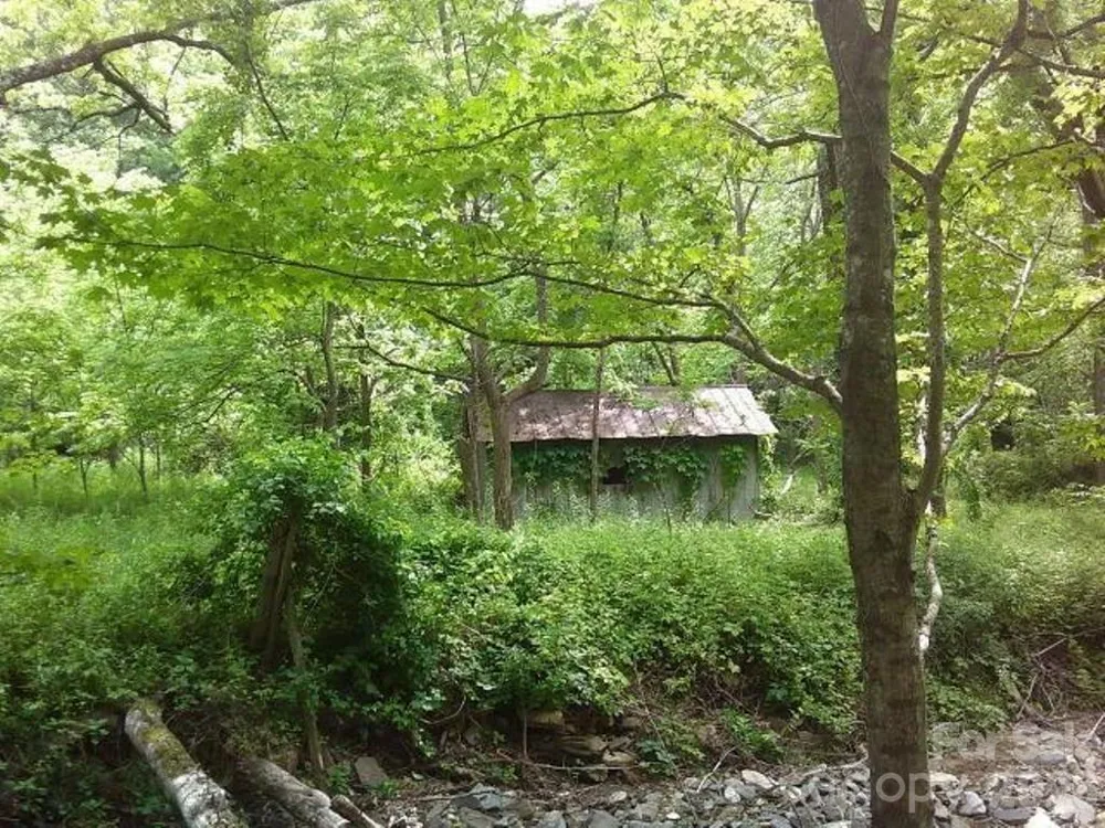 3771 US Highway 421 Highway Vilas, NC 28692