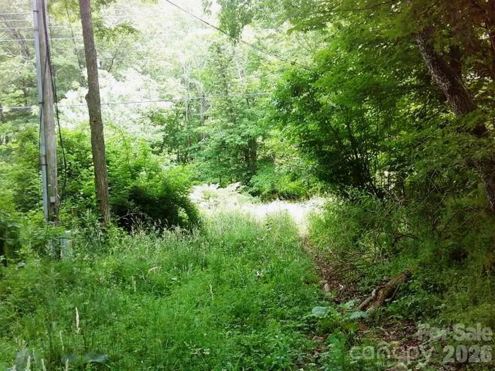 3771 US Highway 421 Highway Vilas, NC 28692