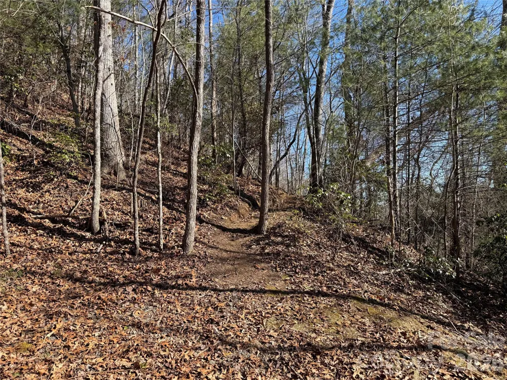 33 High Point Trail Brevard, NC 28712