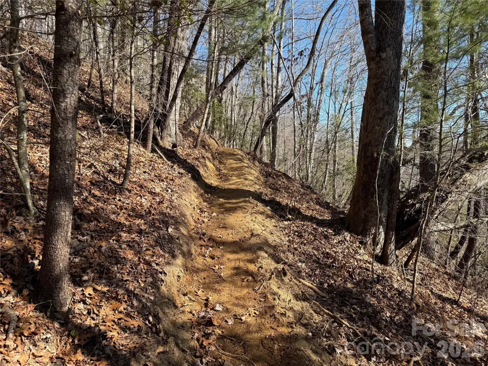 33 High Point Trail Brevard, NC 28712