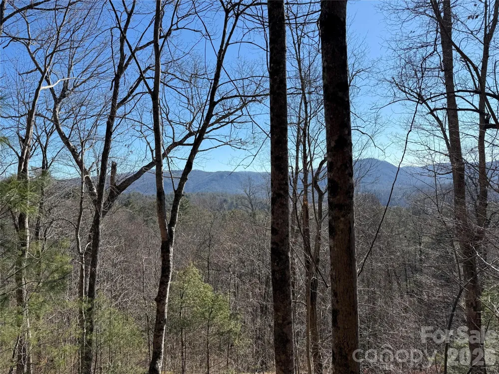 33 High Point Trail Brevard, NC 28712